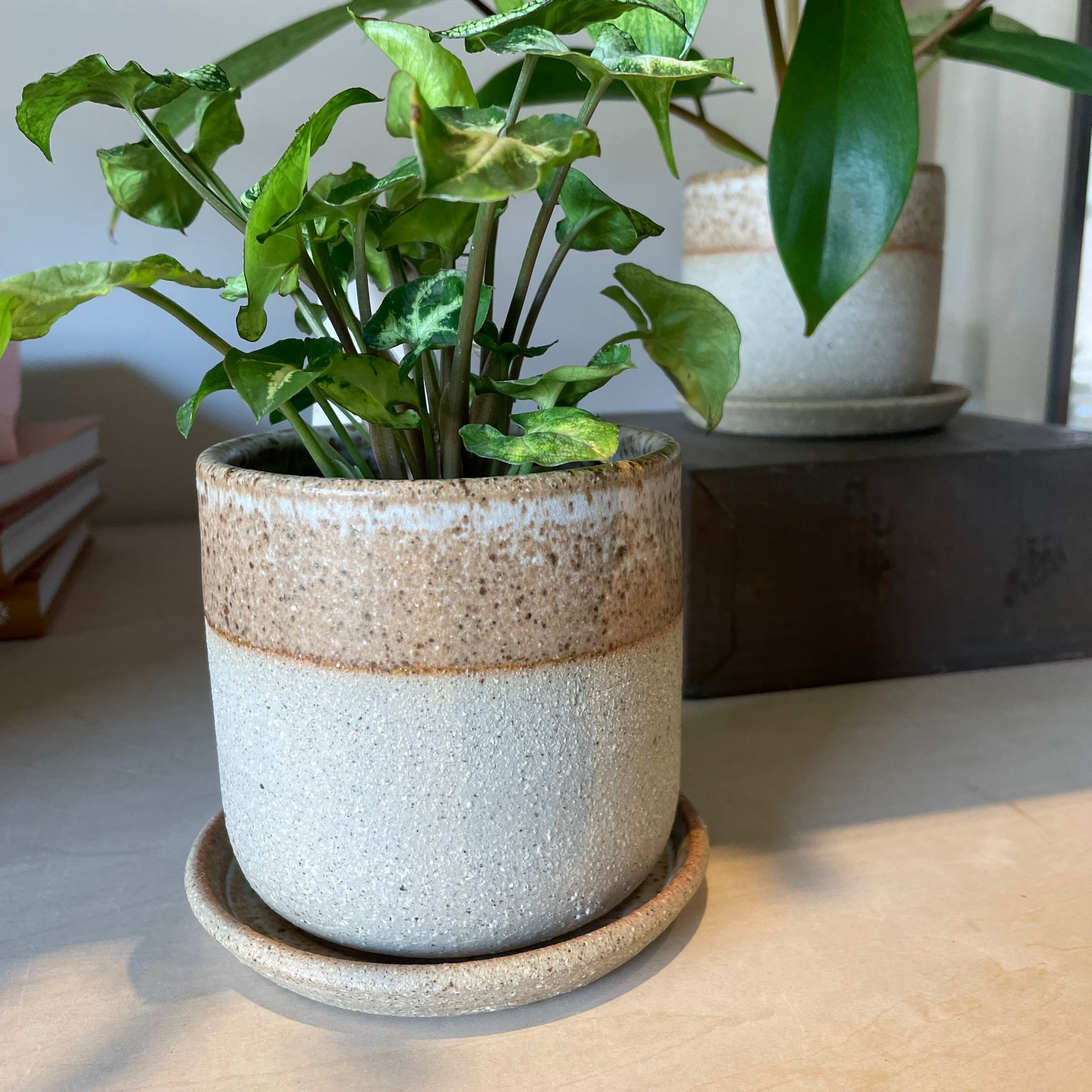 Speckle White Dip Planter by Arcadia Scott スペックル ホワイト