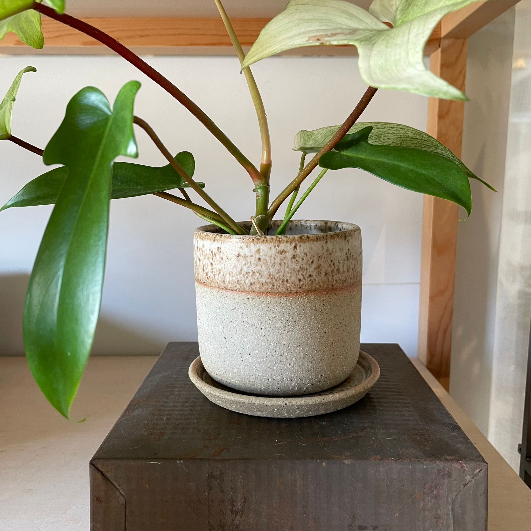 Speckle White Dip Planter by Arcadia Scott スペックル ホワイト