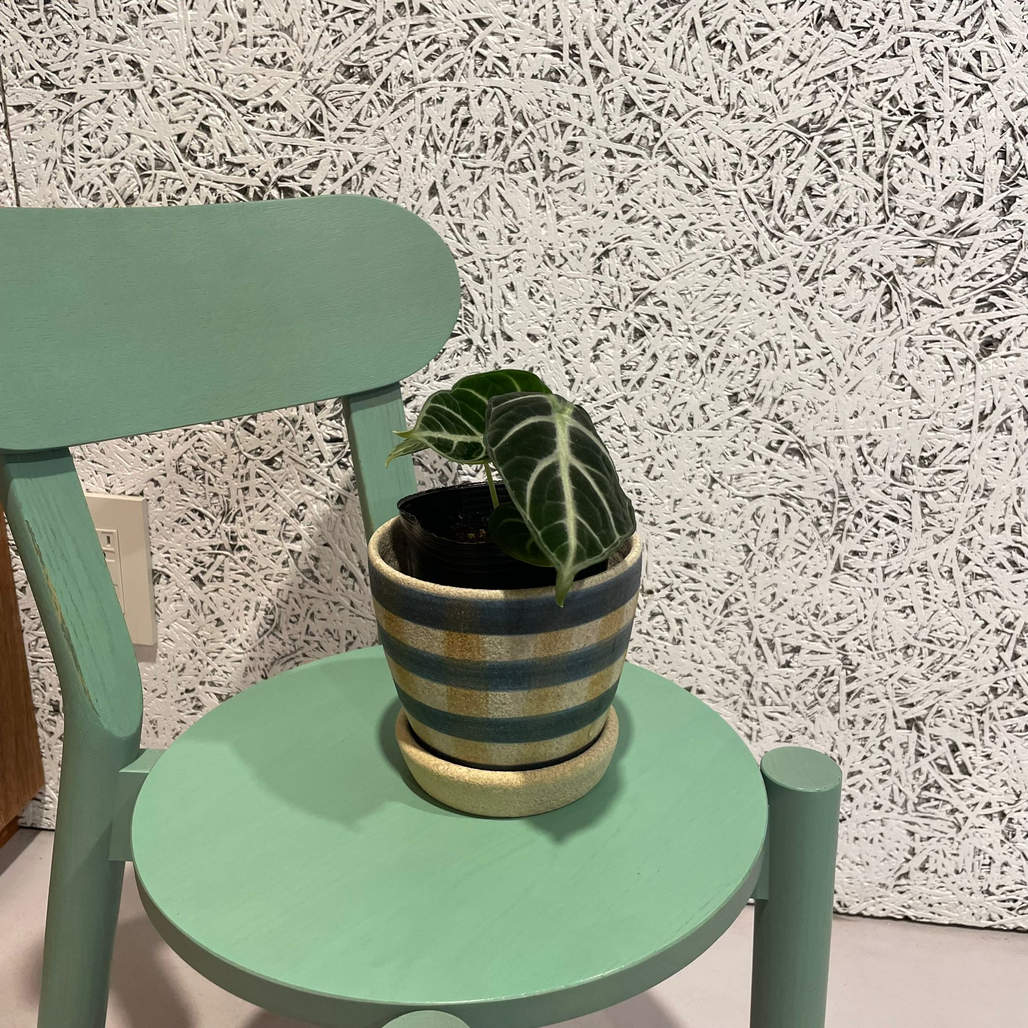 アロカシアセット 数量限定】ロブテックス J-CRAFT99 ツールセット JBTR7SET クローム