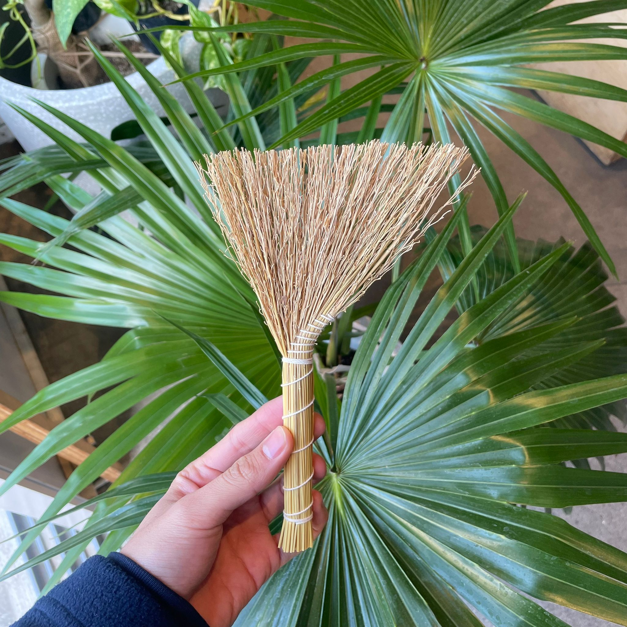 織物・かご Woven Goods & Baskets – THE PLANT SOCIETY TOKYO