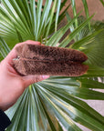 Japanese Palm Brush Xtra Large 特大シュロたわし