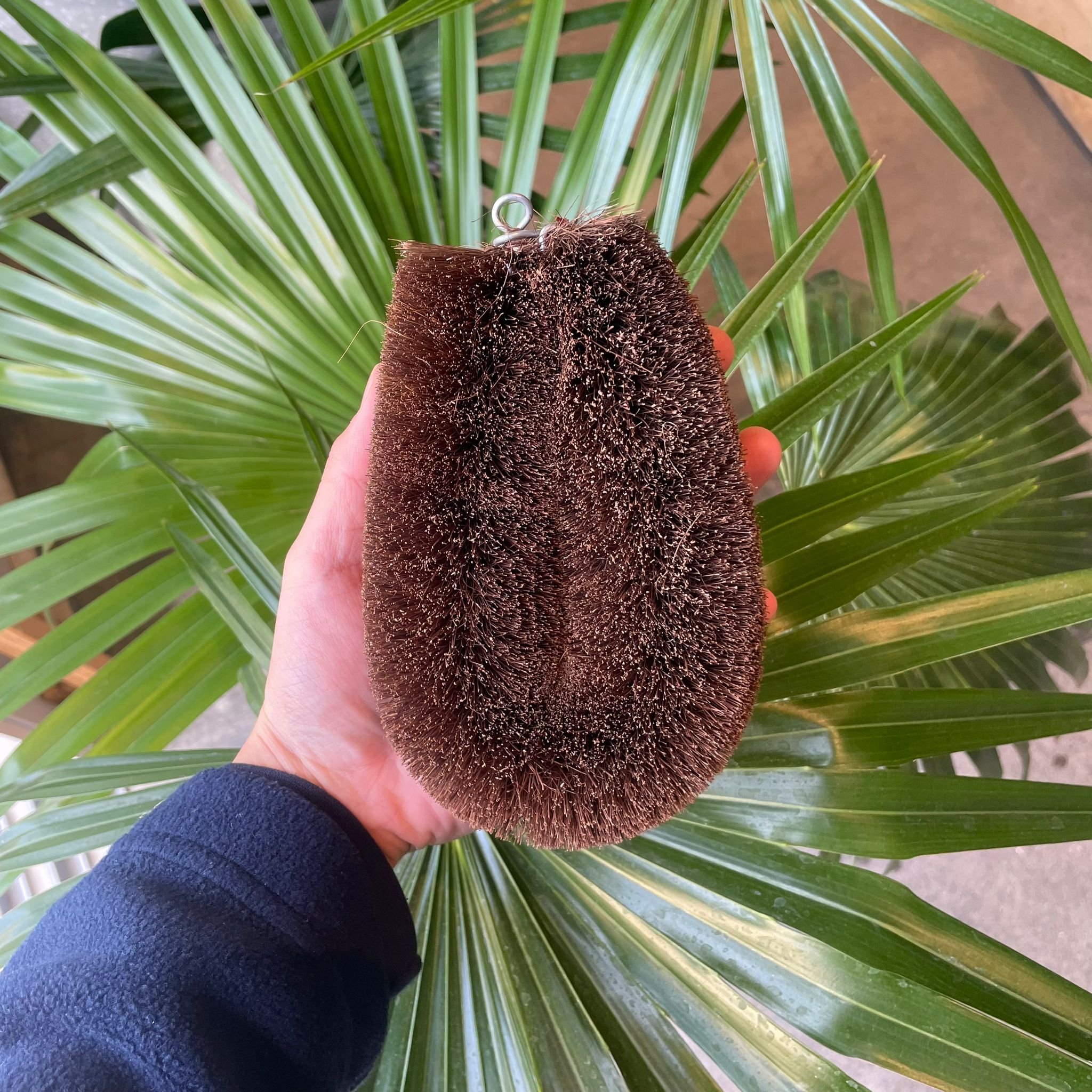 たわし Japanese Palm Brush Xtra Large 特大シュロたわし – THE PLANT