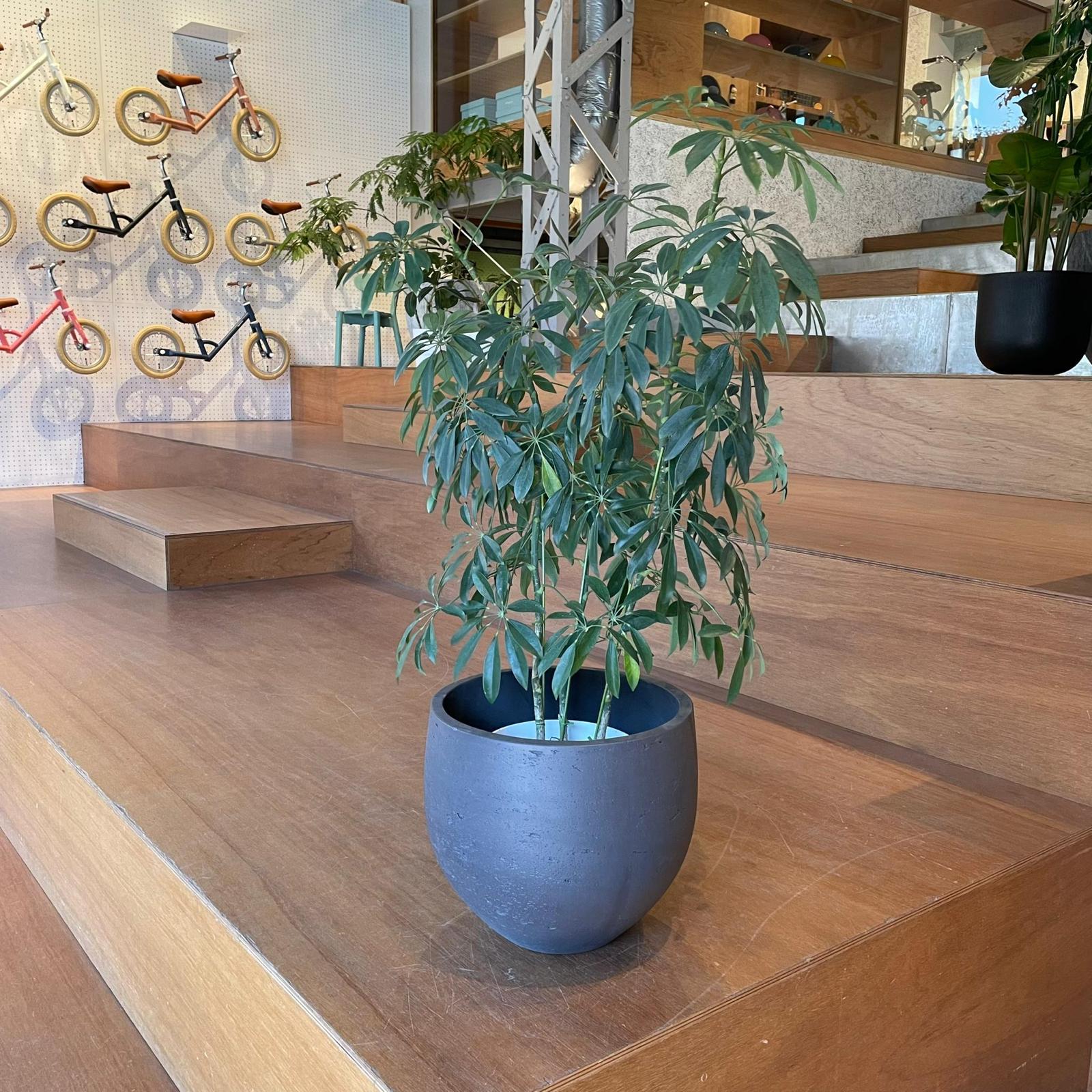 Round Planter ラウンドプランター
