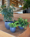 Round Planter ラウンドプランター
