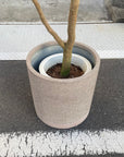 Cylinder Speckle Planter in Earthy Colour with Saucer  シリンダー スペックルプランター ソーサー付