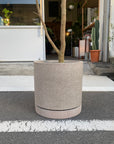 Cylinder Speckle Planter in Earthy Colour with Saucer  シリンダー スペックルプランター ソーサー付