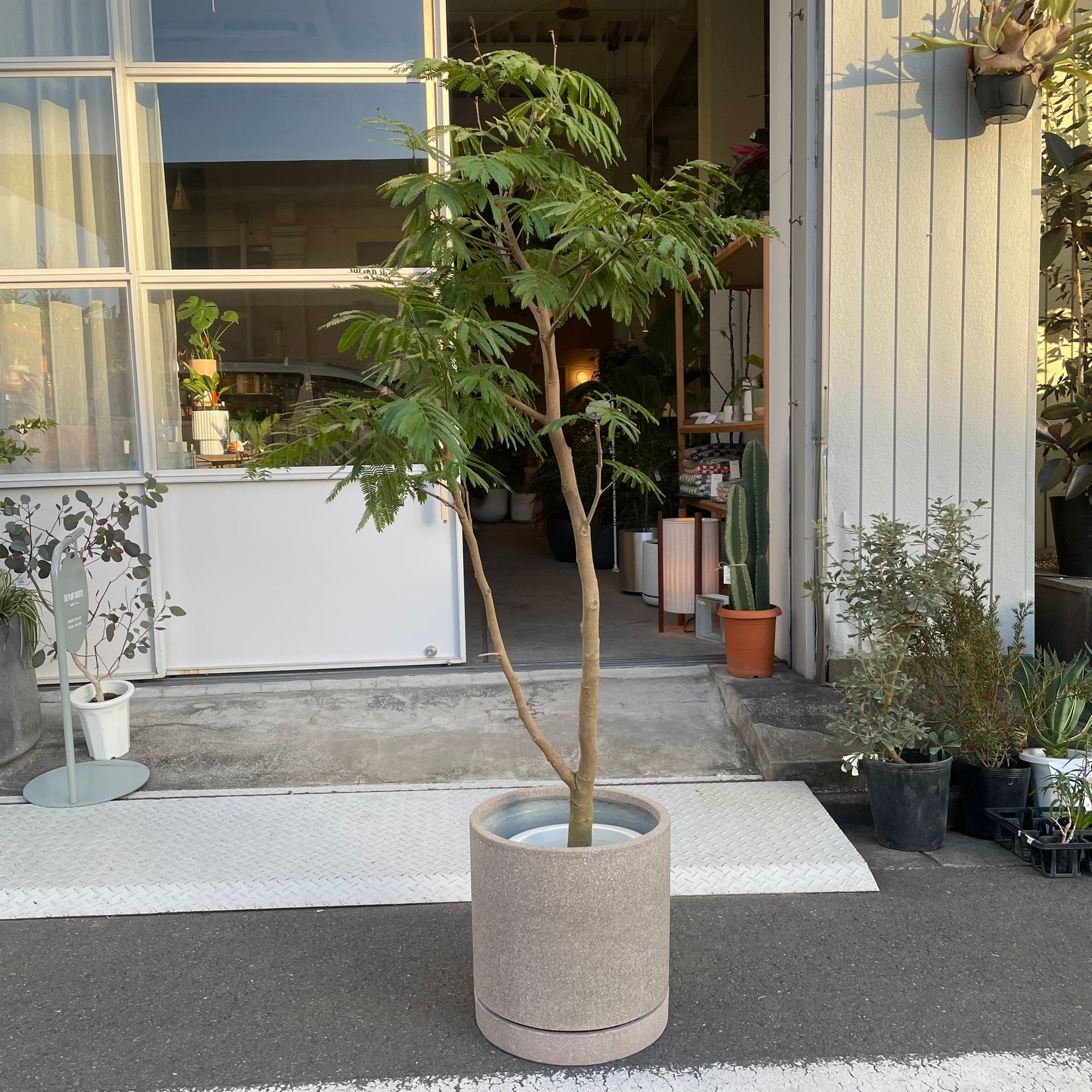Cylinder Speckle Planter in Earthy Colour with Saucer  シリンダー スペックルプランター ソーサー付
