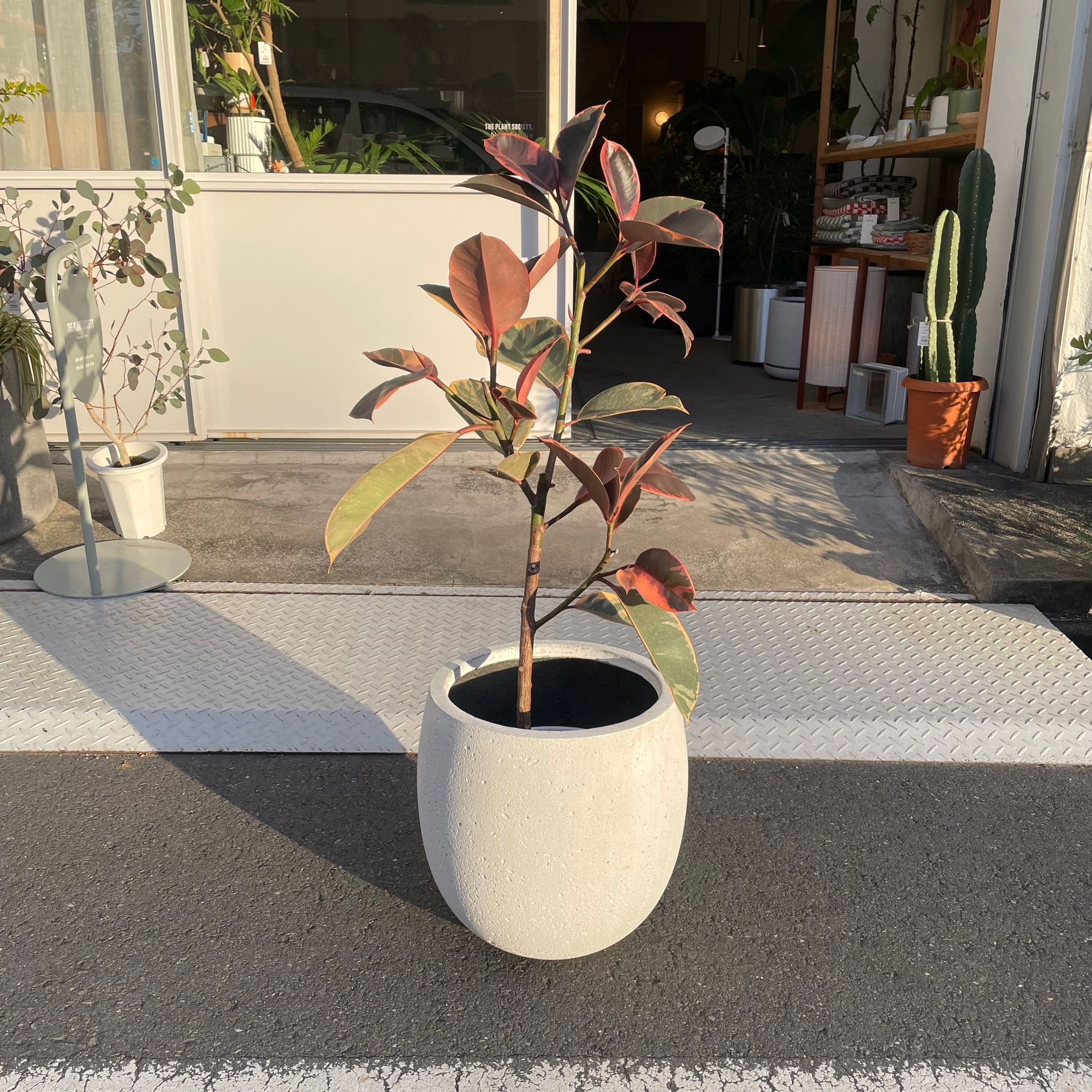 スペックルプランター I 大型植木鉢 I プラントソサエティトーキョー