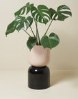 Two Tone Planter Extra Large  by Lightly ツートーンプランター XL