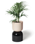 Two Tone Planter Extra Large  by Lightly ツートーンプランター XL