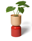 Two Tone Planter Extra Large  by Lightly ツートーンプランター XL