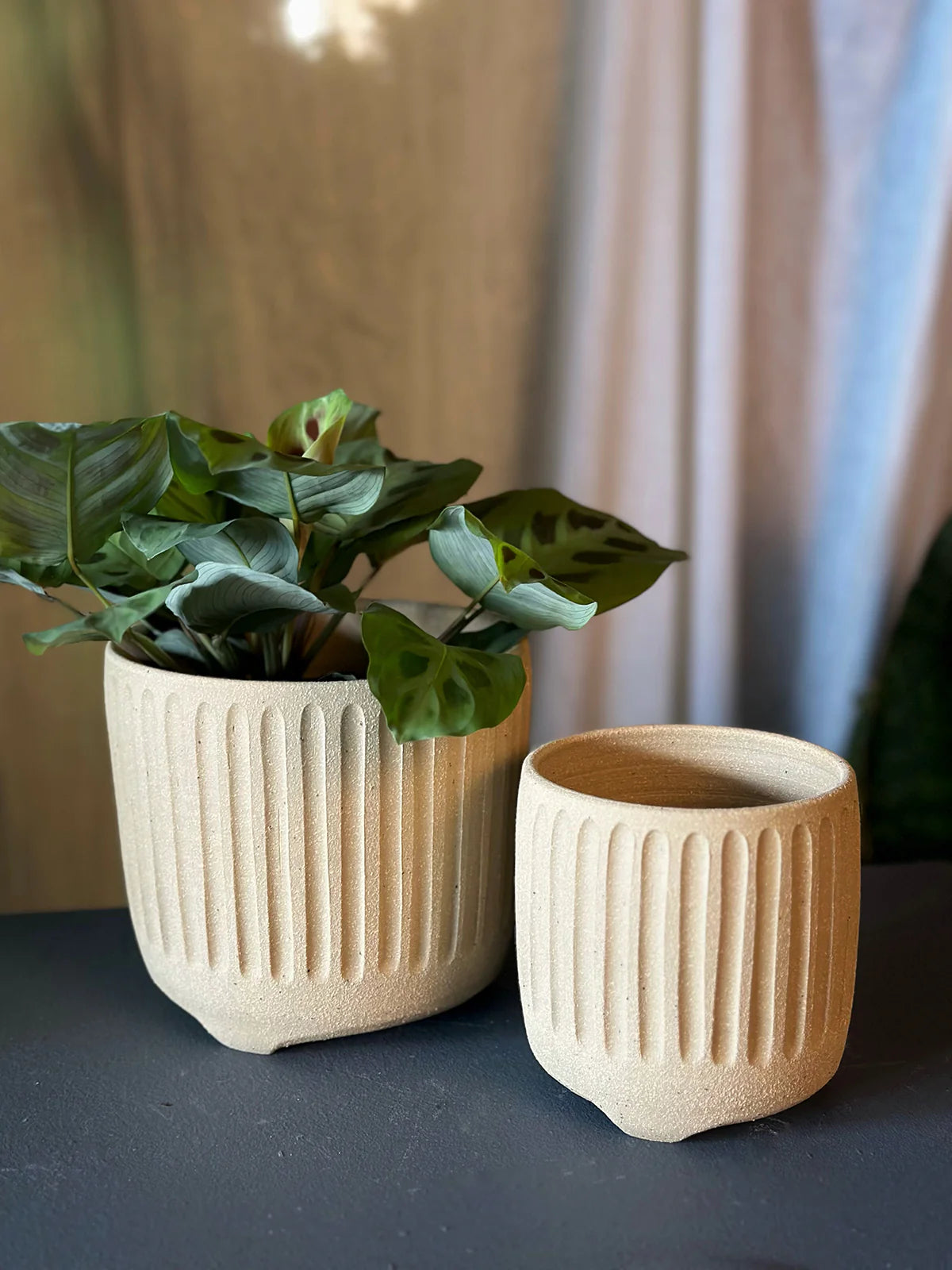 ハードグッズ Hard Goods – THE PLANT SOCIETY TOKYO ハードグッズ Hard Goods – THE PLANT SOCIETY TOKYO