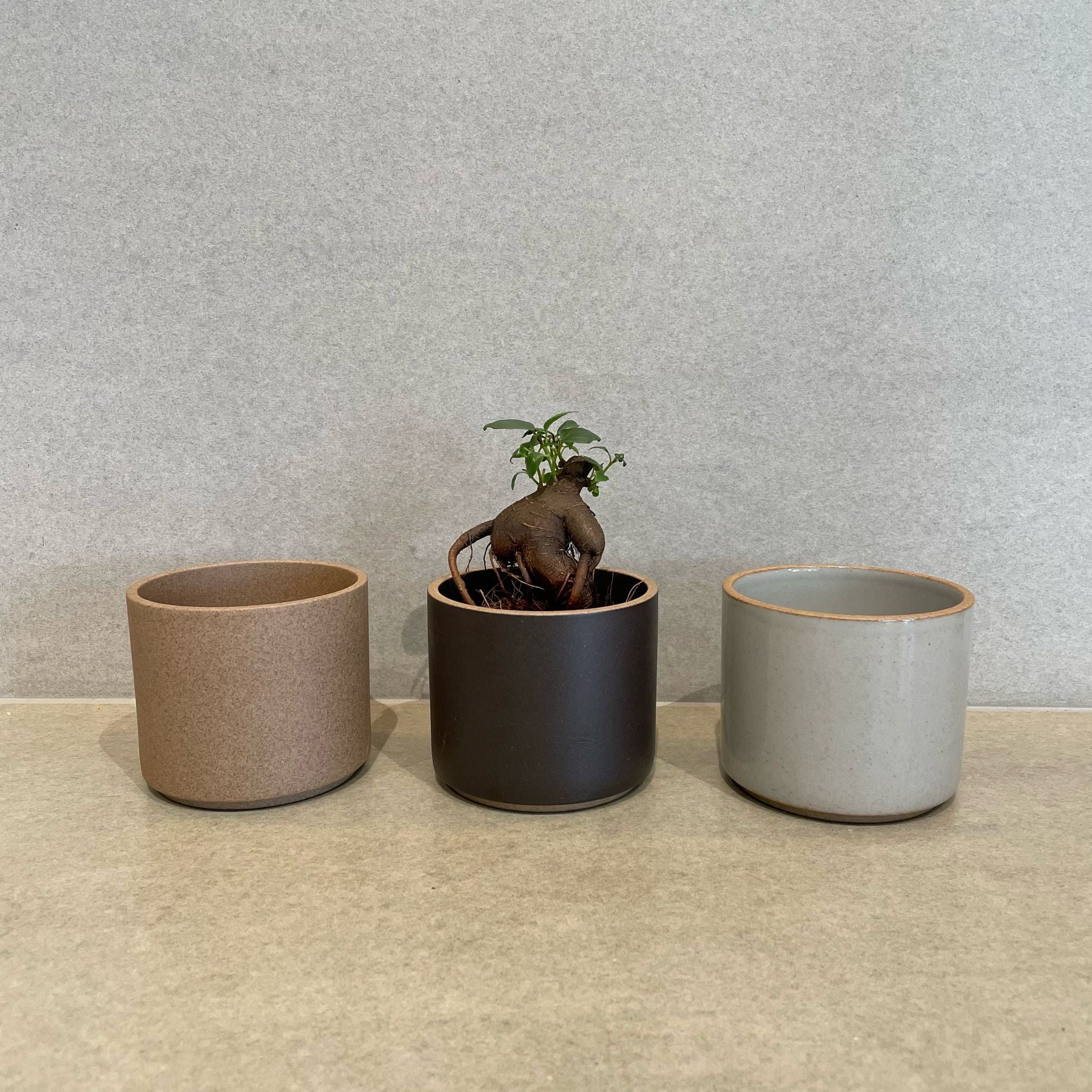 Bowl in Black by Hasami Porcelain ボウル ブラック – THE PLANT