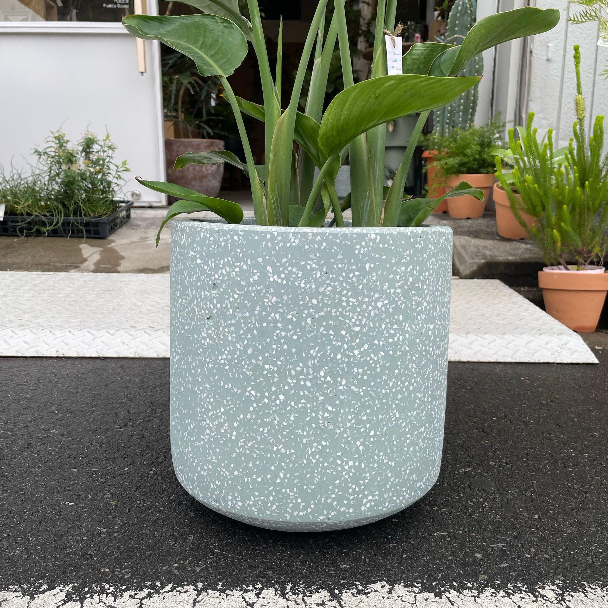 Shadow Planter シャドウプランター