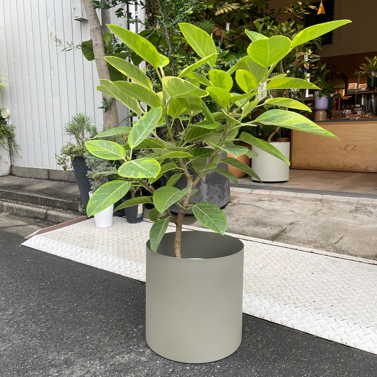Metal Cylinder Planter Cover メタルシリンダープランターカバー