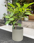Metal Cylinder Planter Cover メタルシリンダープランターカバー