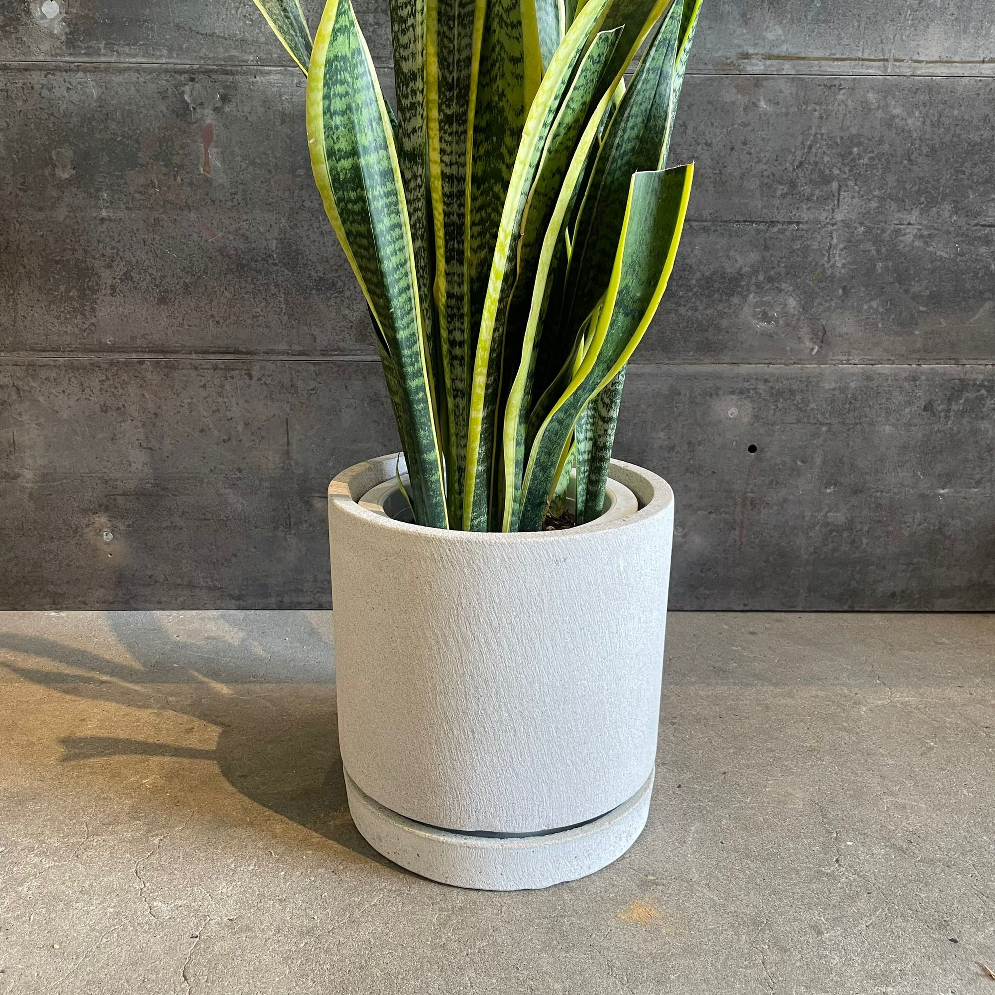 Cylinder Speckle Planter in Earthy Colour with Saucer  シリンダー スペックルプランター ソーサー付