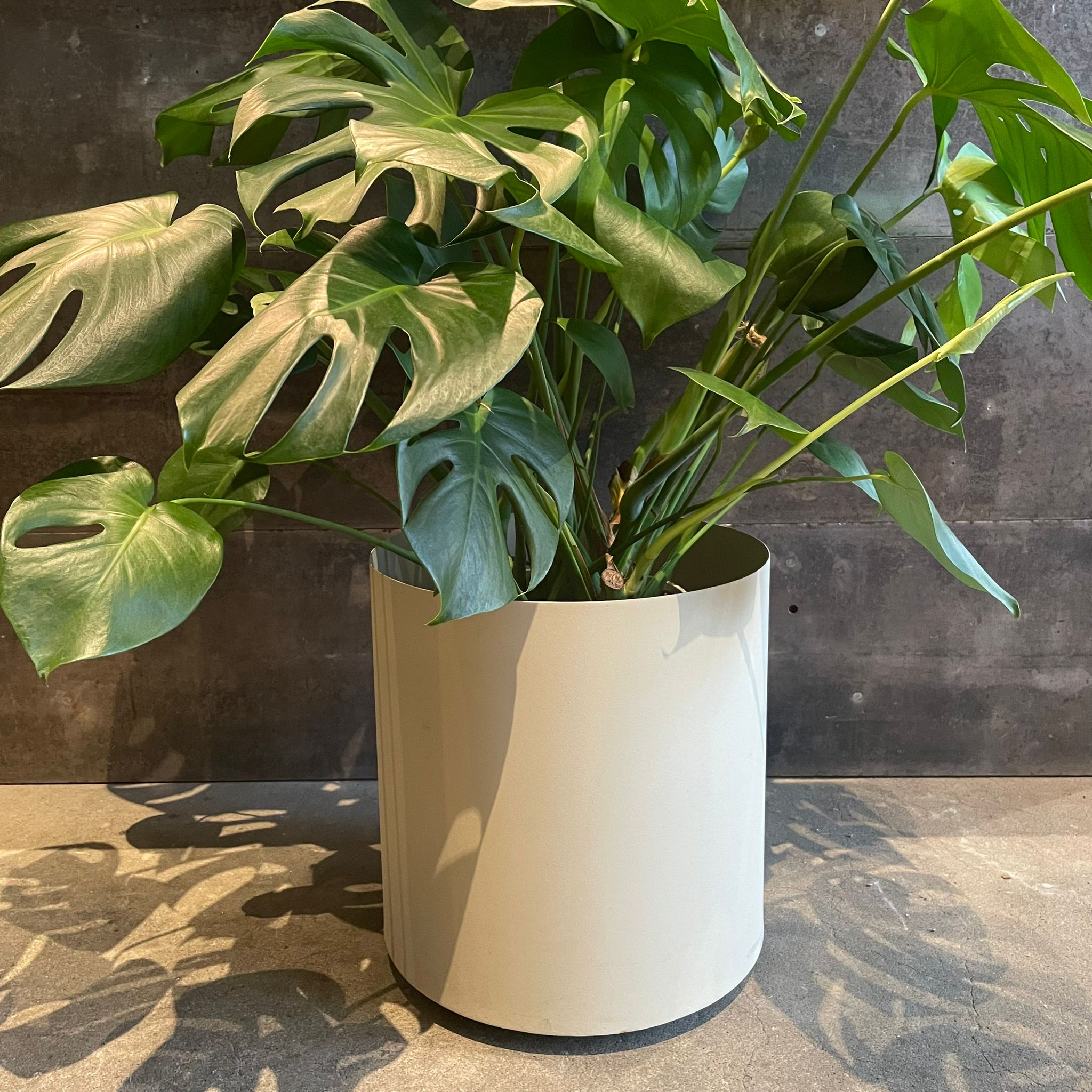 メタルシリンダープランターカバー (キャスター付き) I 植木鉢 I