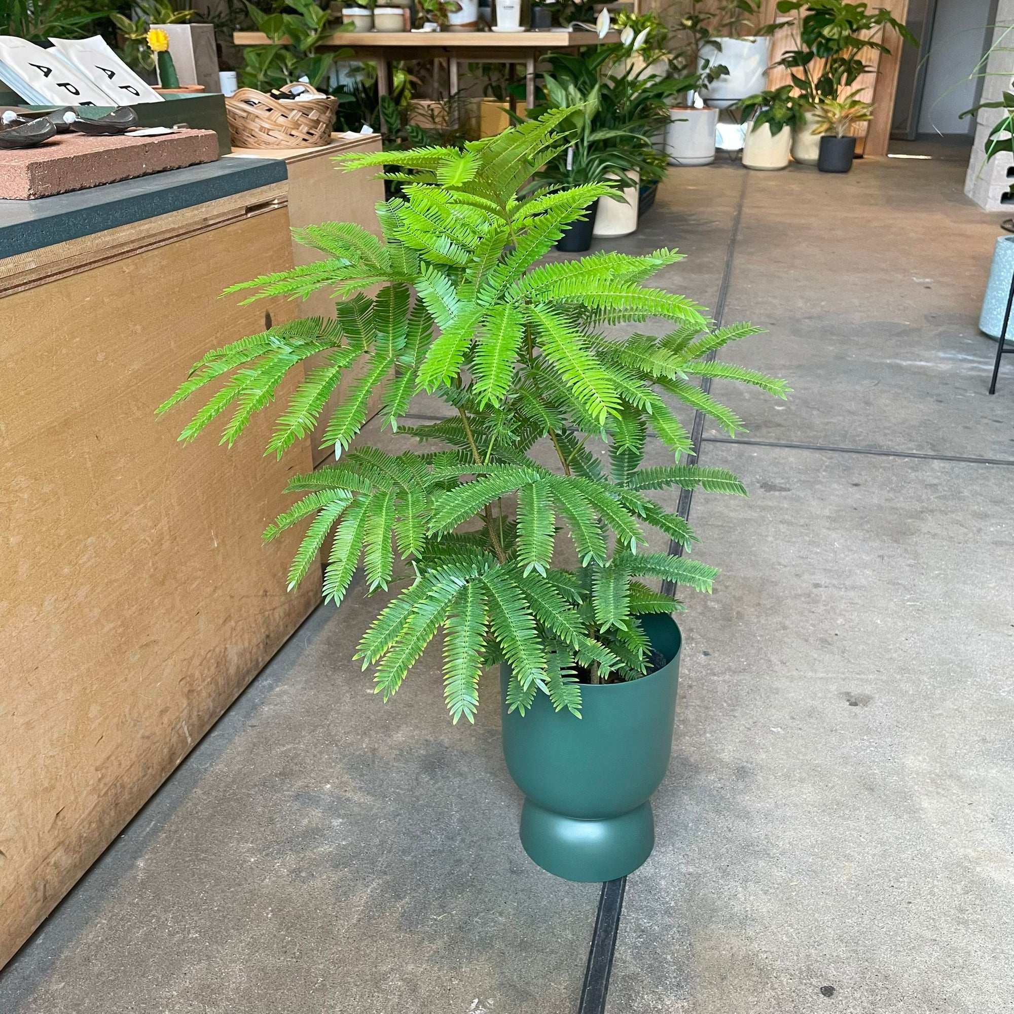 Ever Fresh Tree エバーフレッシュ