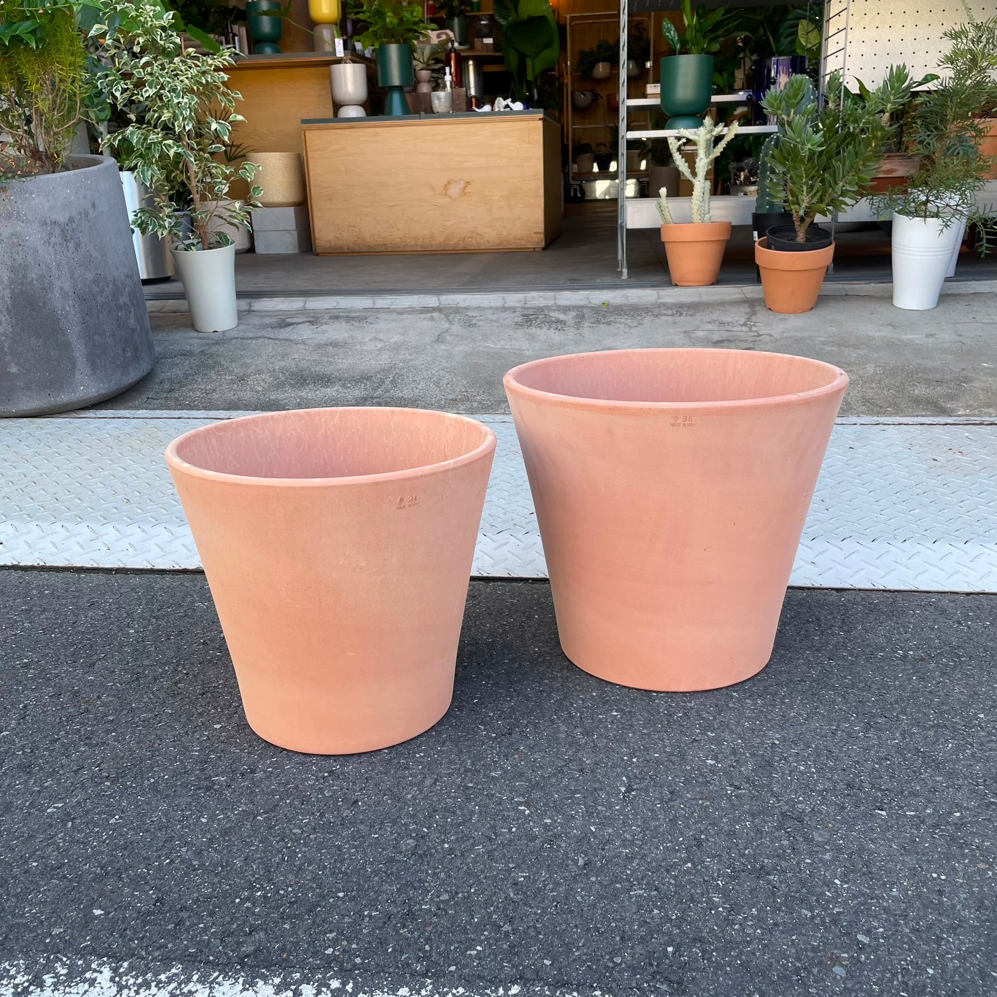 Jubilee Terracotta  Planter ジュビリー テラコッタプランター