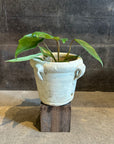 Sahara Jar Planter サハラ ジャー プランター