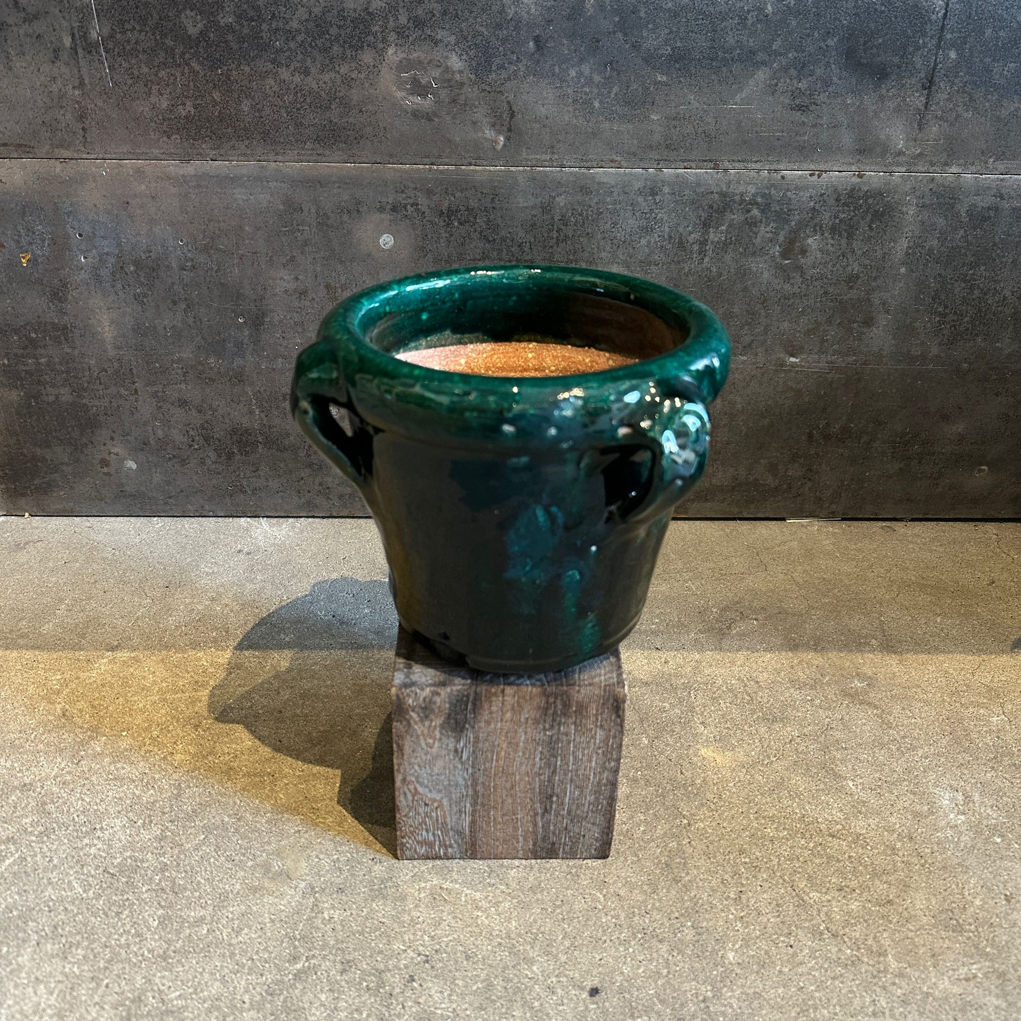 Sahara Jar Planter サハラ ジャー プランター