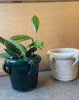 Sahara Jar Planter サハラ ジャー プランター