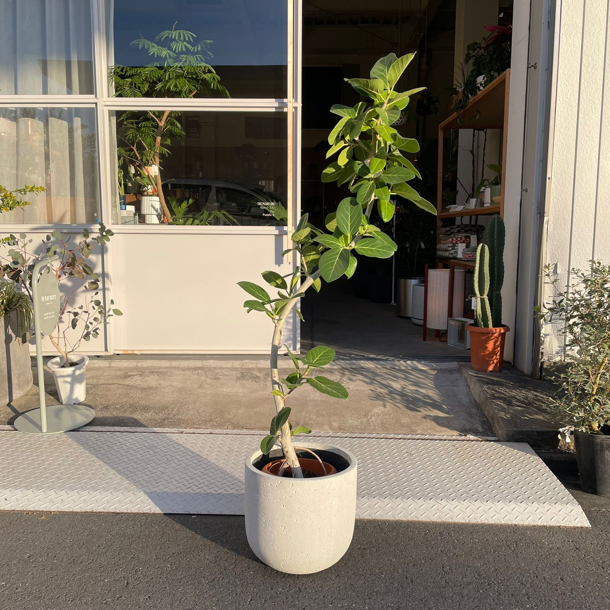 Round U Planter Mono ラウンドUプランターモノ