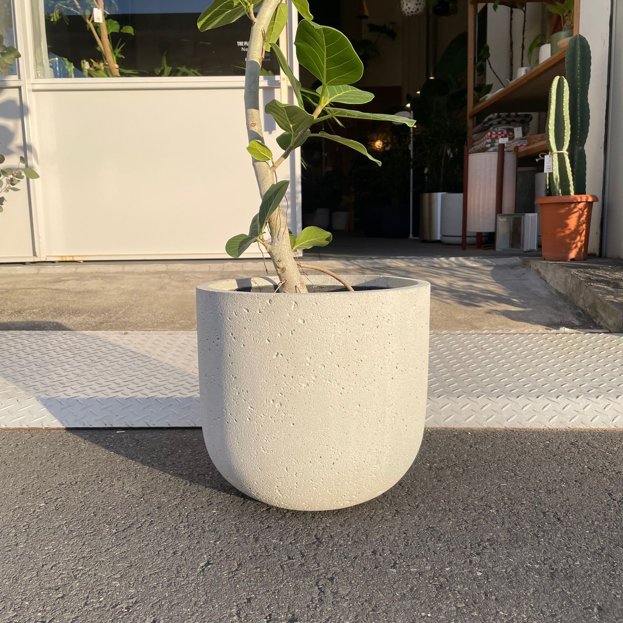 ラウンドUプランターモノI 大きな植木鉢 I プラントソサエティ