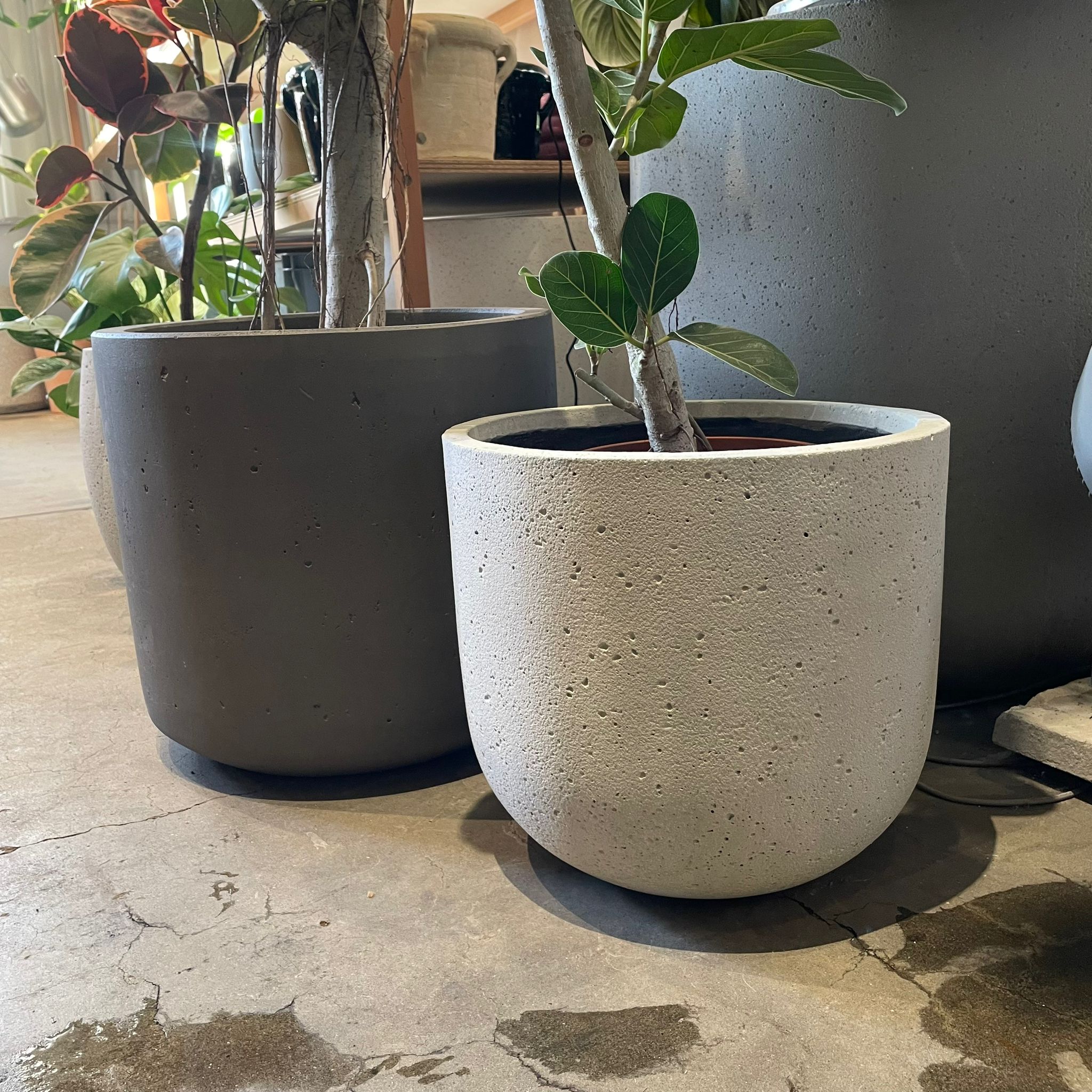 ラウンドUプランターモノI 大きな植木鉢 I プラントソサエティ