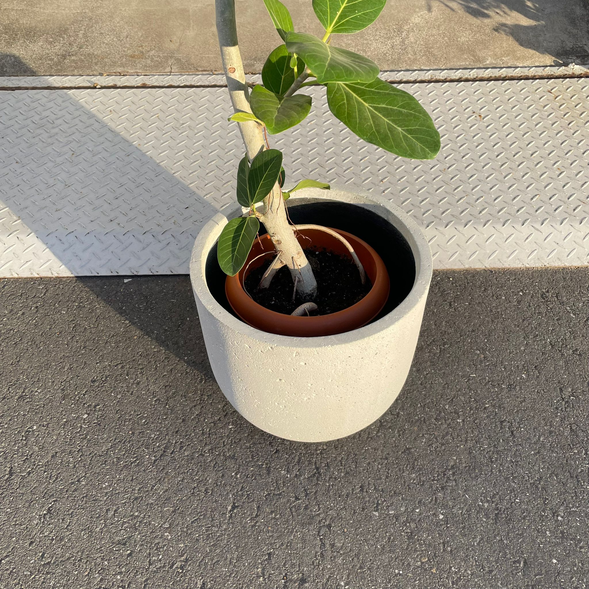 ラウンドUプランターモノI 大きな植木鉢 I プラントソサエティ