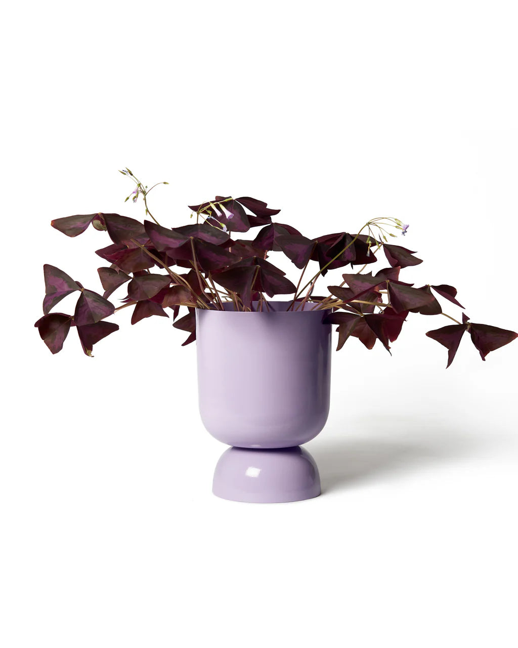 Goblet Planter Small By Lightly ゴブレットプランター S