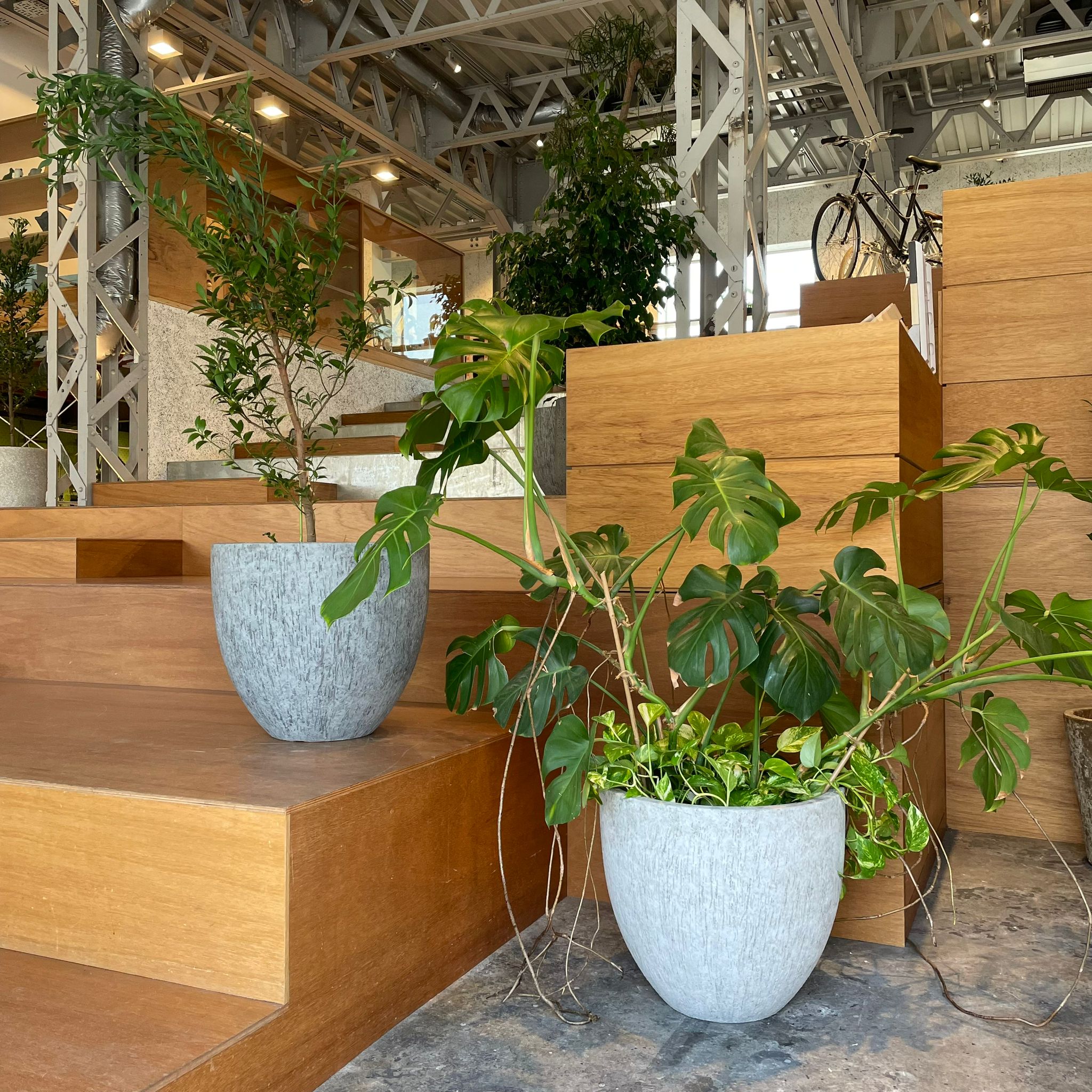 ペドラプランター I 大きな植木鉢 I プラントソサエティトーキョー