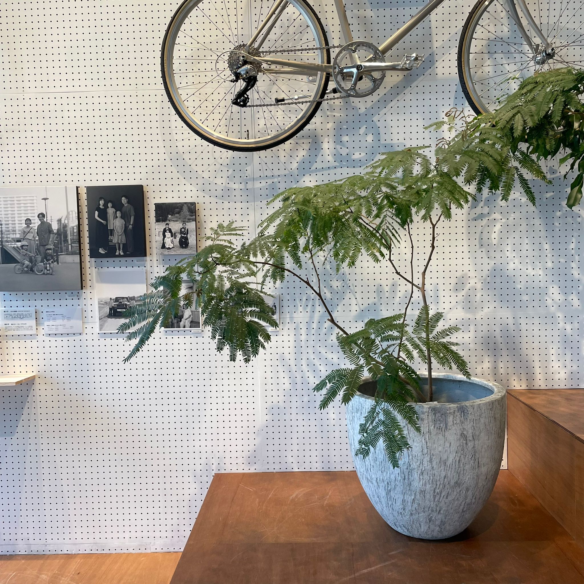 ペドラプランター I 大きな植木鉢 I プラントソサエティトーキョー