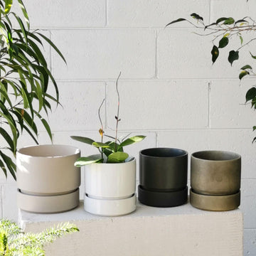 コラプランター by The Plant Society