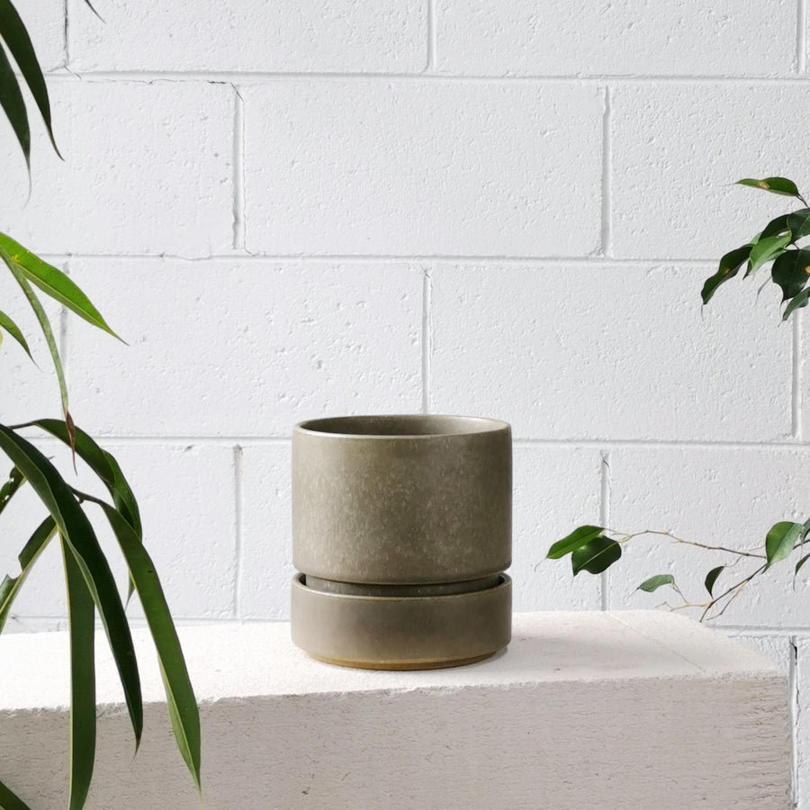 コラプランター by The Plant Society