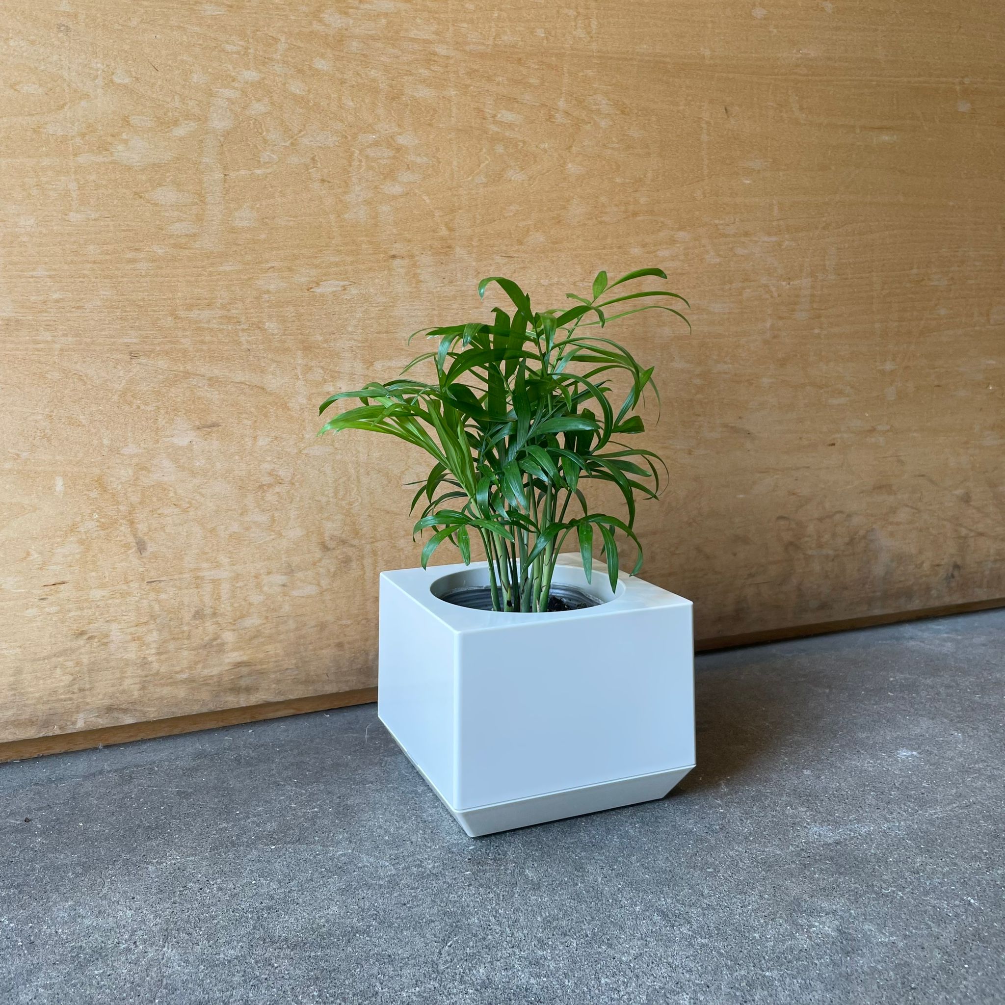 梅田正徳/marutomi/プランター/BIG ROUND ROUND／Marutomi