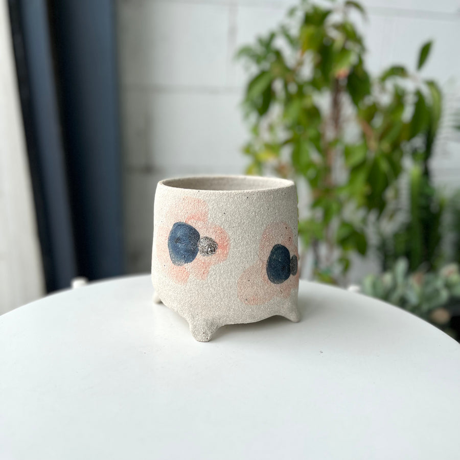 プランター by Bridget Bodenham