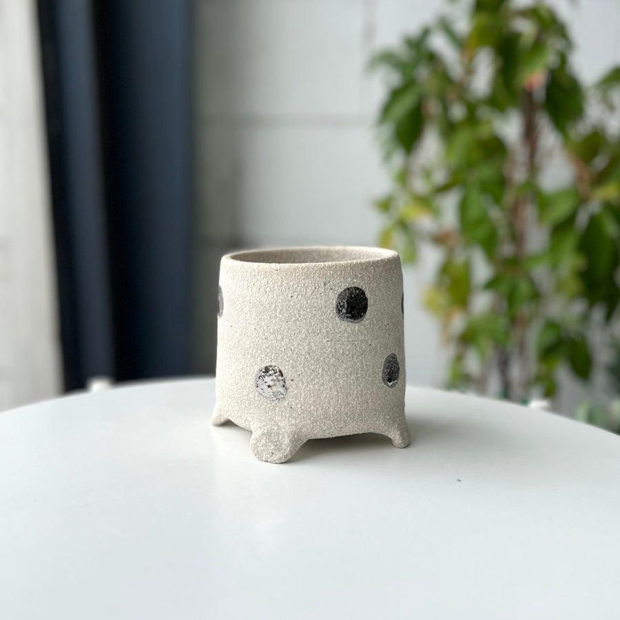プランター by Bridget Bodenham