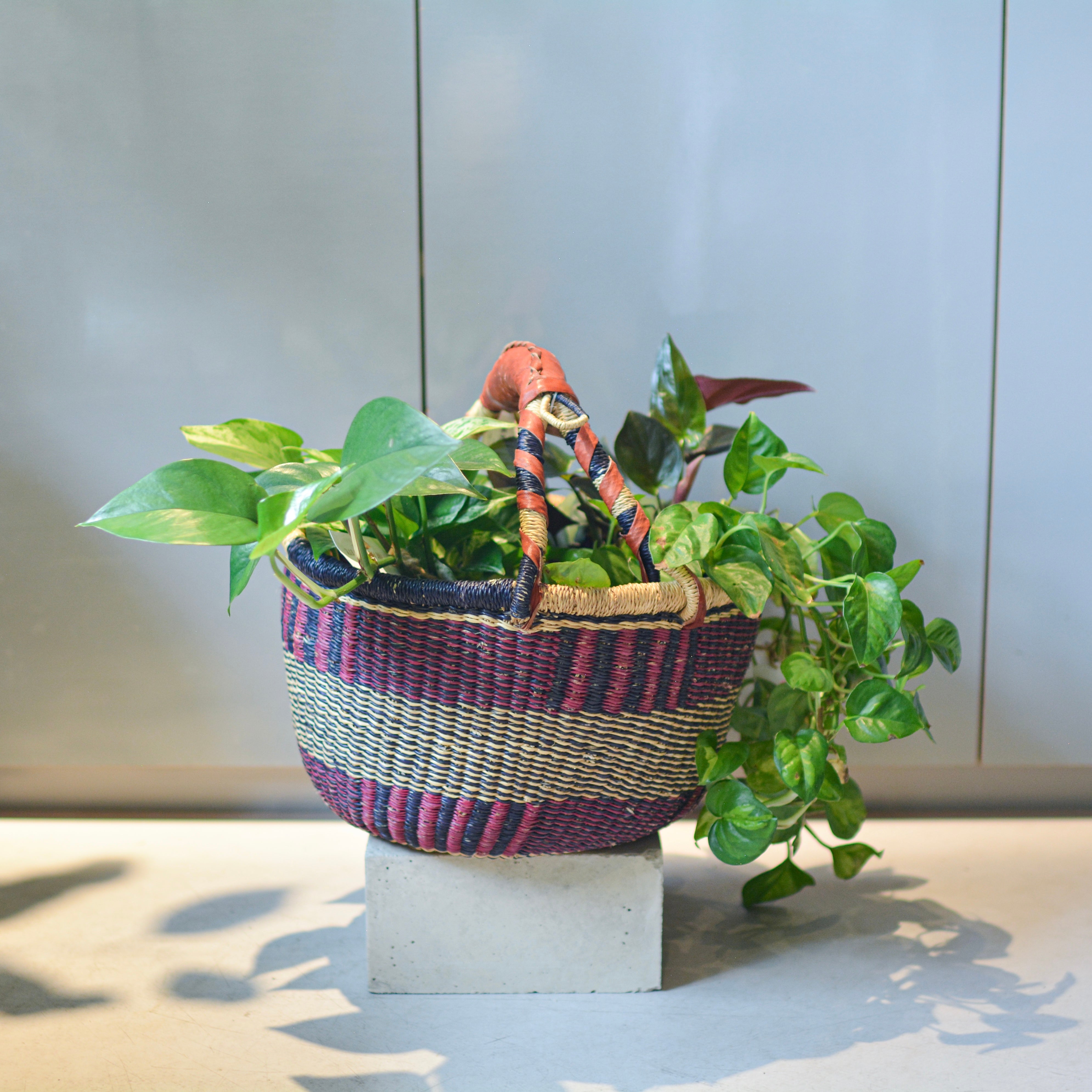 ハンドルバスケット I 大きな植木鉢 I プラントソサエティトーキョー