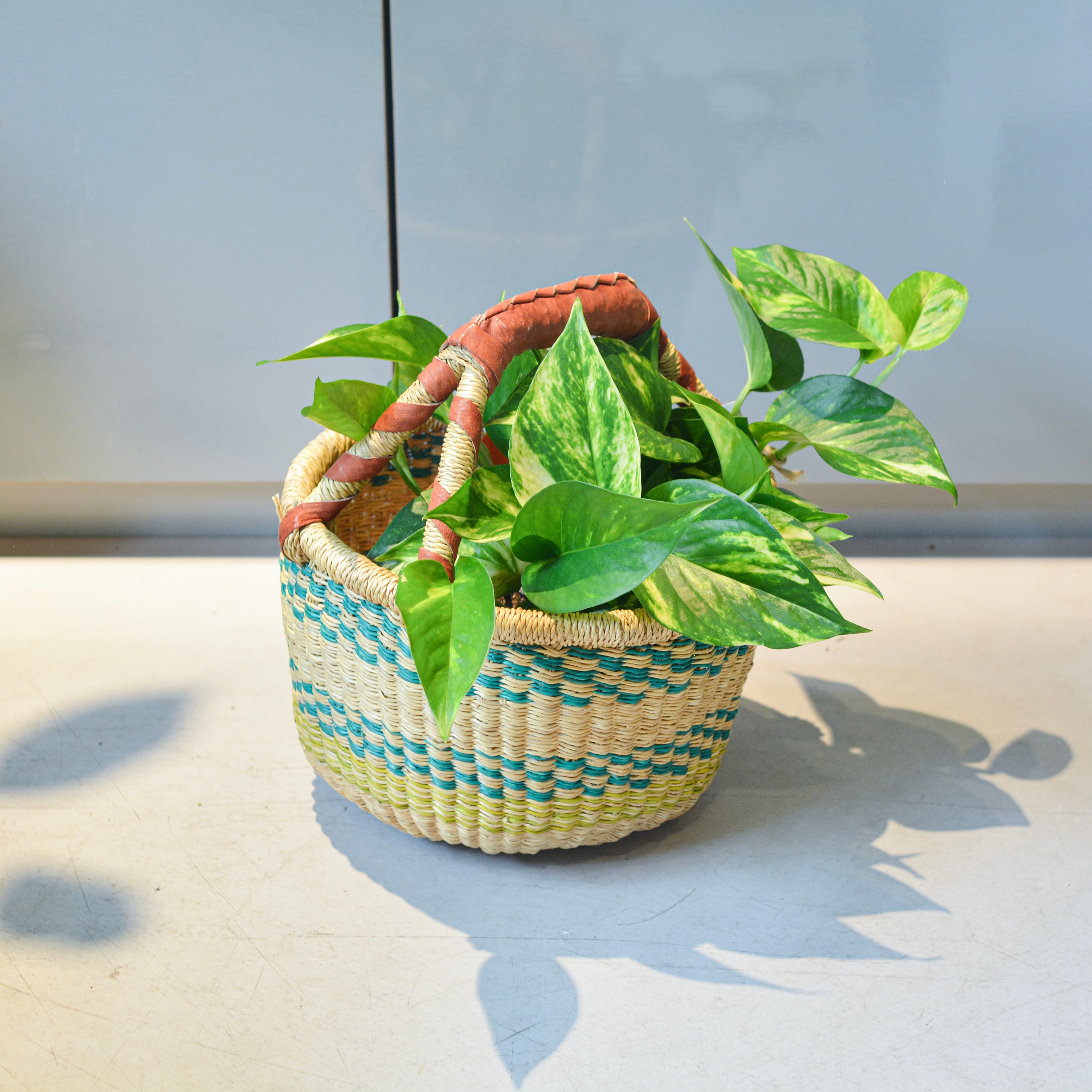 ハンドルバスケット I 大きな植木鉢 I プラントソサエティトーキョー