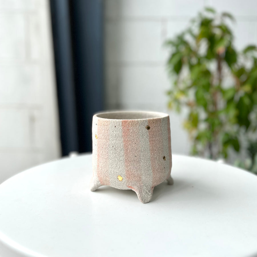 プランター by Bridget Bodenham