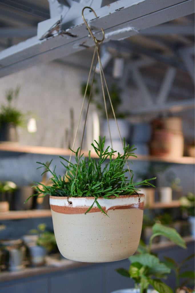 Desert Brass Hanging Planter by Leaf & Thread デザート ブラス ハンギング プランター