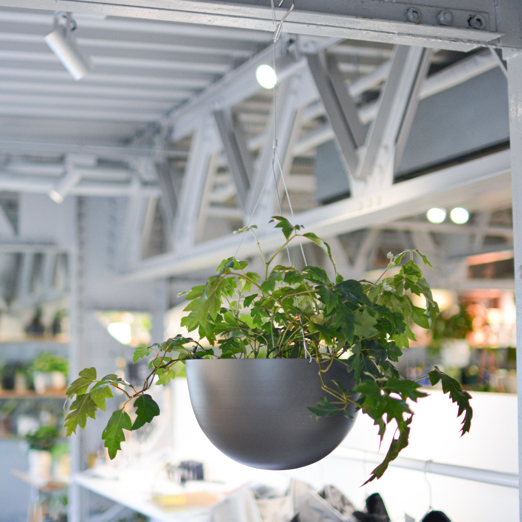 Round Hanging Planter ラウンドハンギングプランター