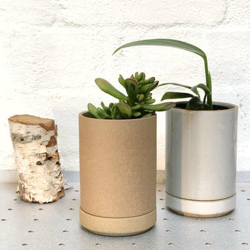 hasami planter small natural and white with plants