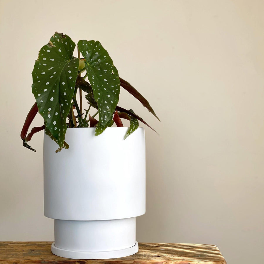 ミディ ロータワー プランター by The Plant Society x Capra Designs- Totem Collection -