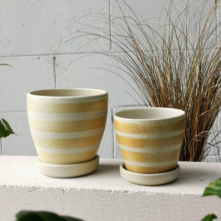 Apricot Stripe Wood Fired by Sandra Bowkett ストライププランター（横縞）