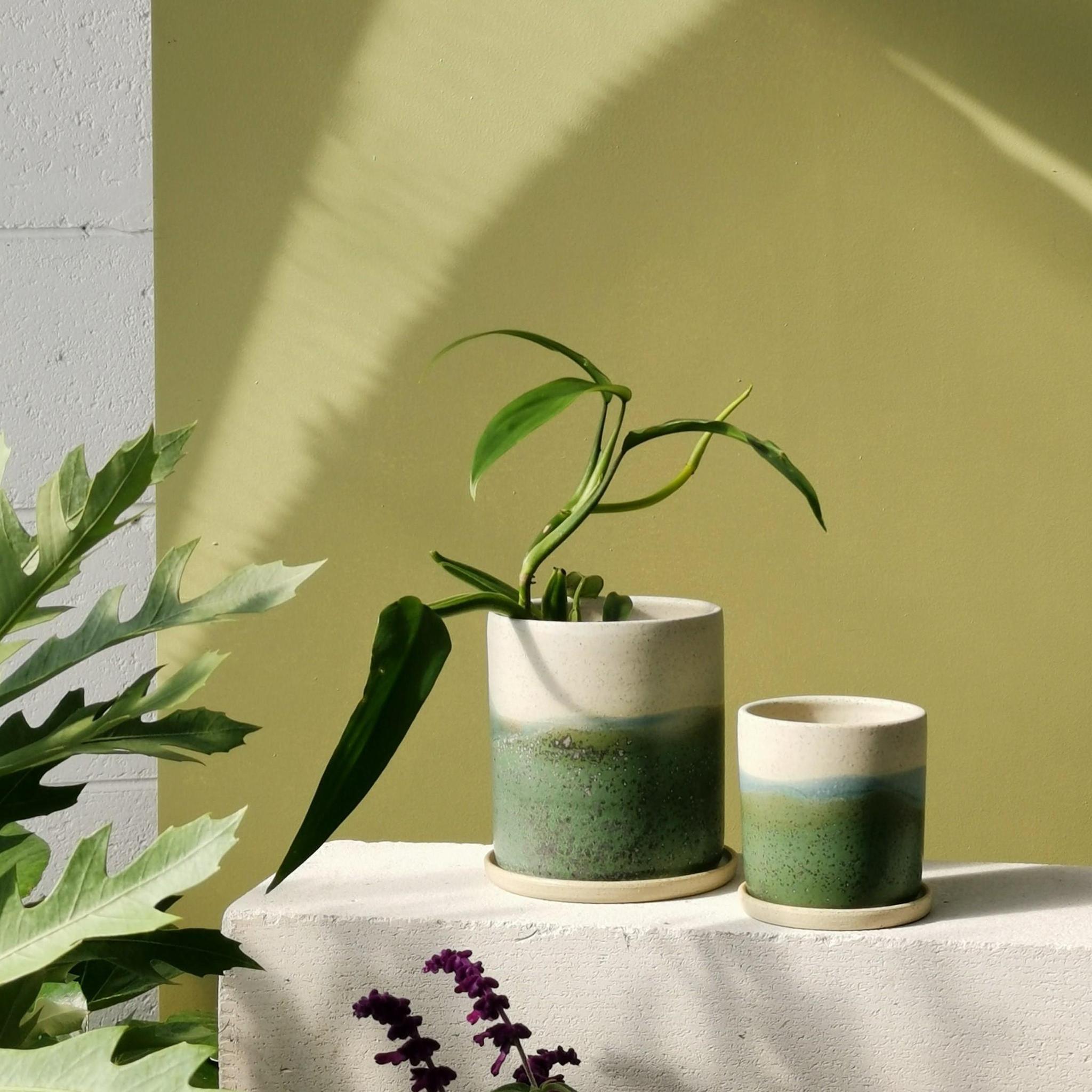 オーロラプランター Aurora Borealis by Arcadia Scott I 植木鉢 I