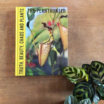 Truth, Beauty, Chaos and Plants By The Plant Hunter