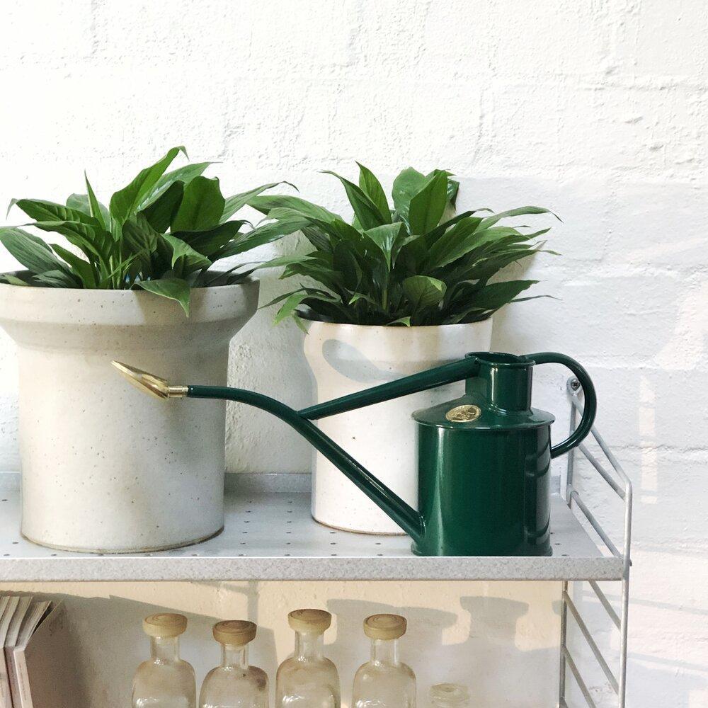 Haws Green Metal Watering Can 1000ml